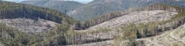 Central Highlands